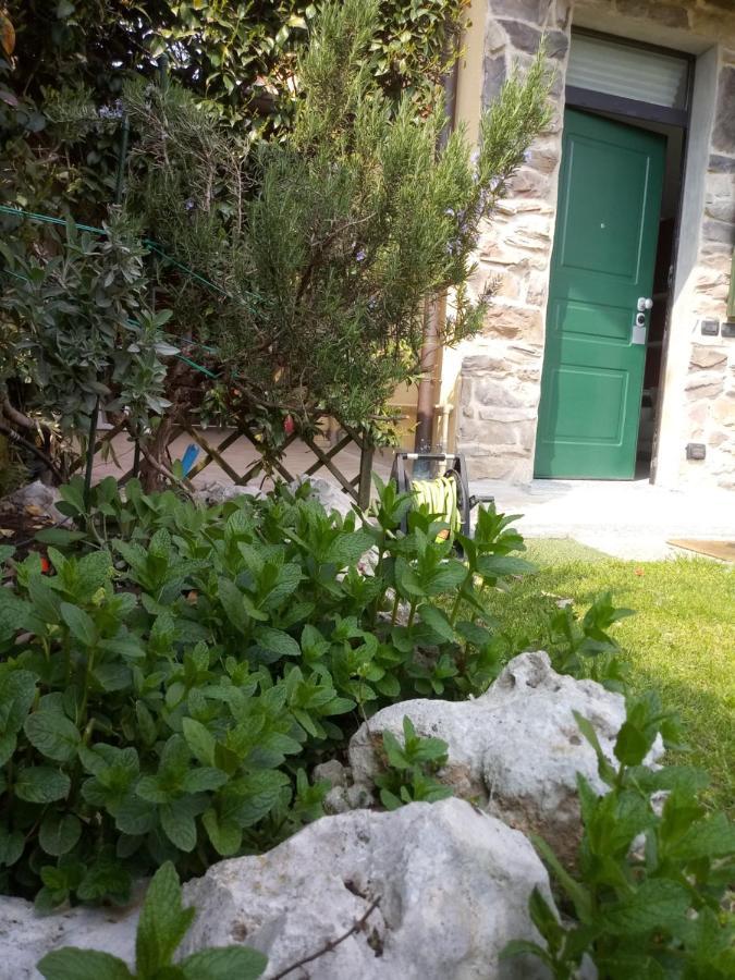 B&B Malpensa Ticino Valley Vizzola Ticino Exteriör bild